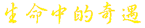 mark20000910.gif (2300 Ӧ줸)